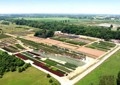 Nursery