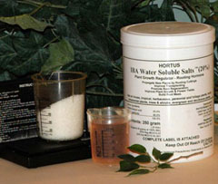 Hortus IBA Salts