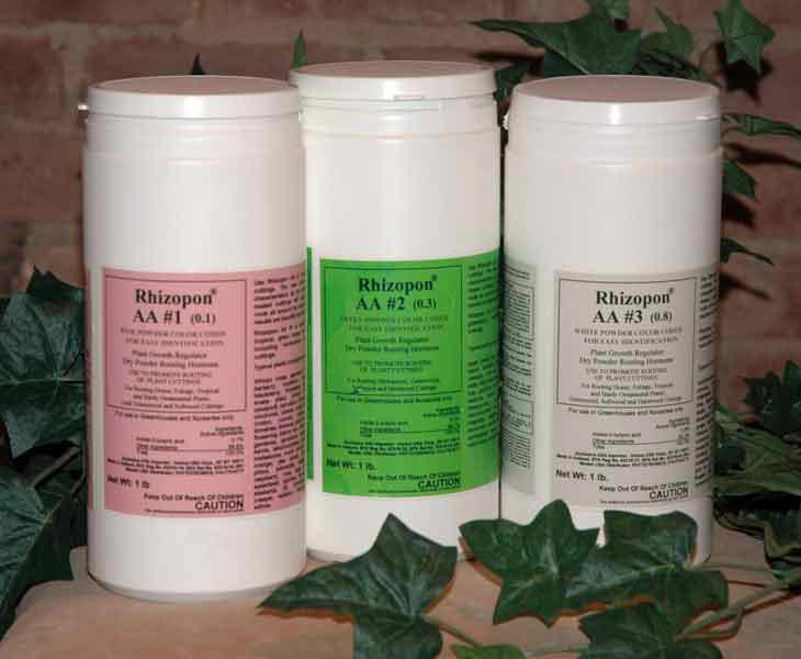 Rhizopon AA dry dip rooting hormones